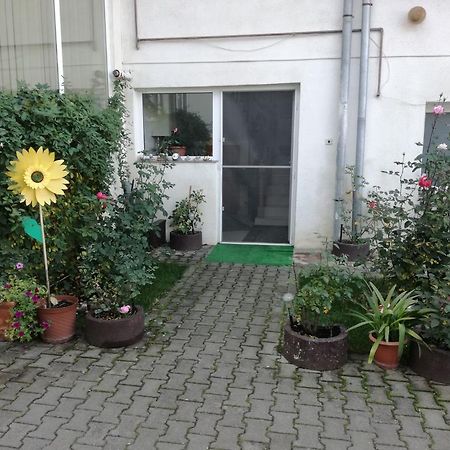 Vila Nely Risnov Exterior photo