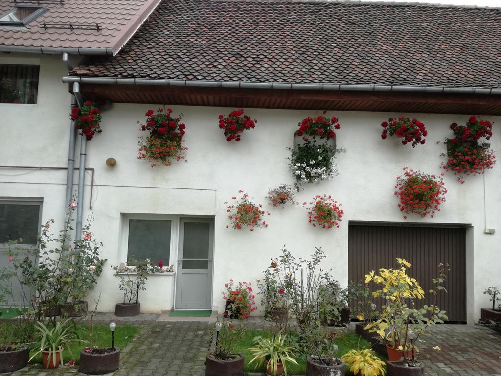 Vila Nely Risnov Exterior photo
