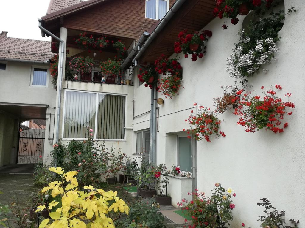 Vila Nely Risnov Exterior photo